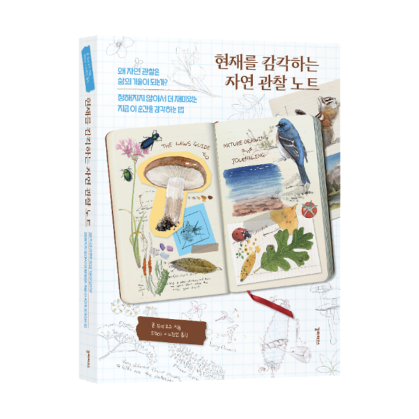 입체표지(3D 표지)