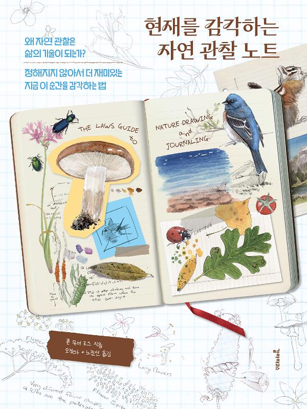 현재를 감각하는 자연 관찰 노트_책표지