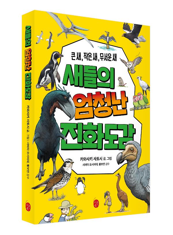 입체표지(3D 표지)