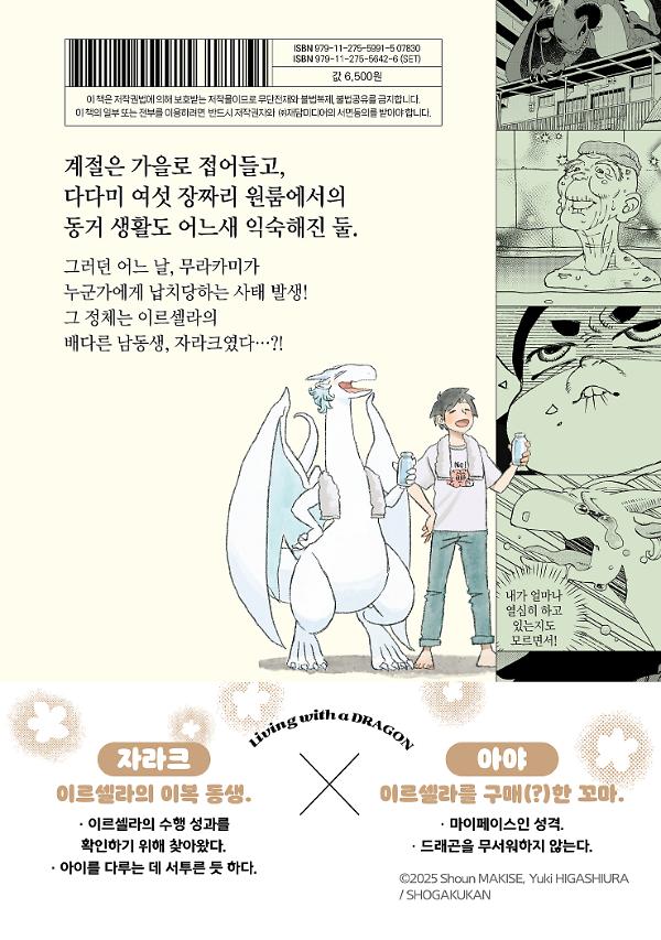 2D 뒤표지