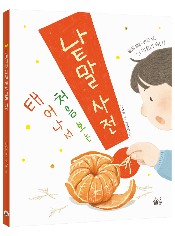 입체표지(3D 표지)