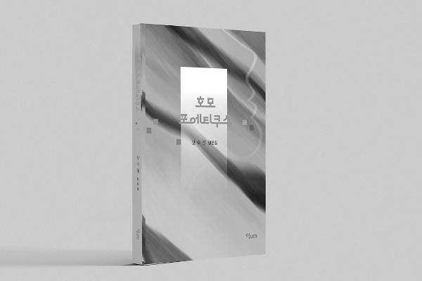 입체표지(3D 표지)