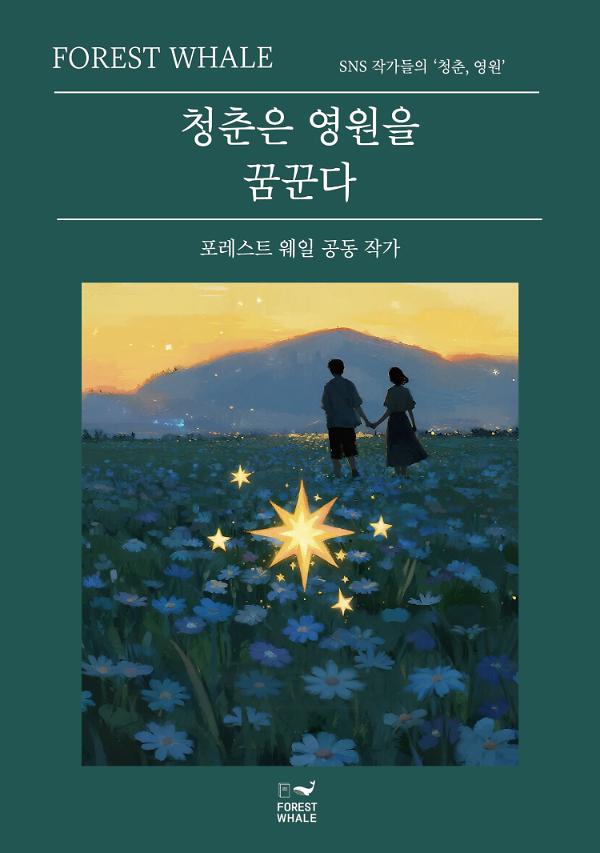 청춘은 영원을 꿈꾼다_책표지