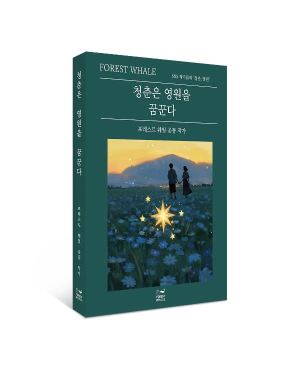 입체표지(3D 표지)