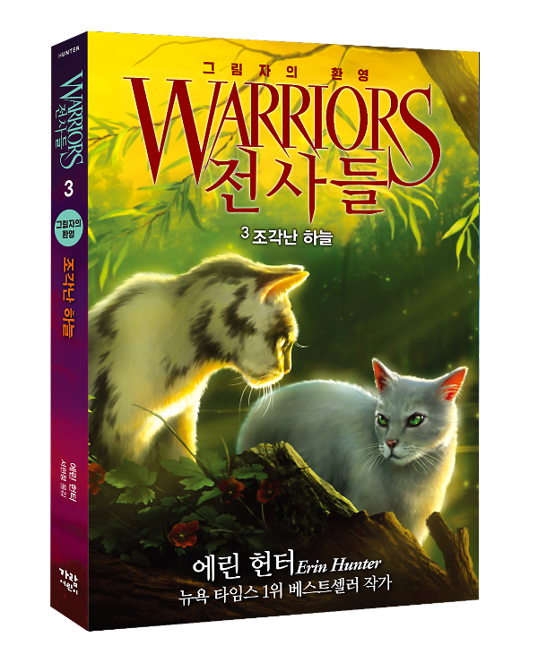 입체표지(3D 표지)