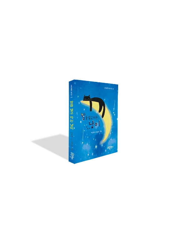 입체표지(3D 표지)