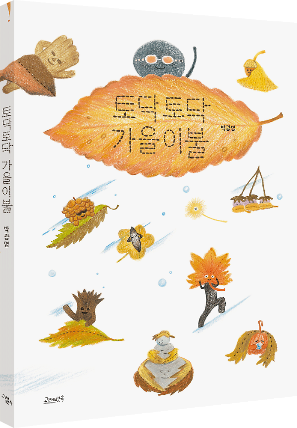 입체표지(3D 표지)