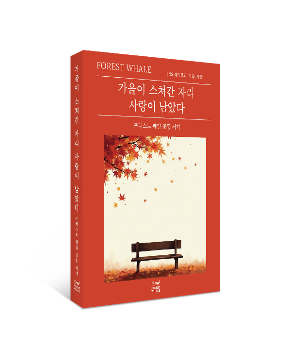 입체표지(3D 표지)