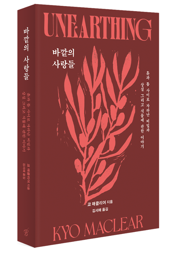 입체표지(3D 표지)