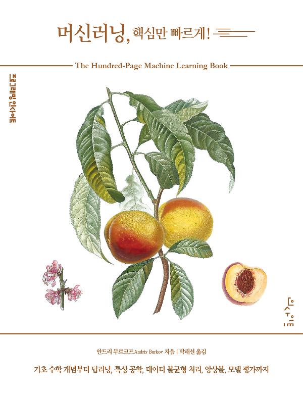머신러닝, 핵심만 빠르게!_책표지