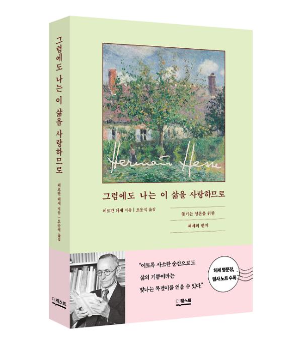 입체표지(3D 표지)