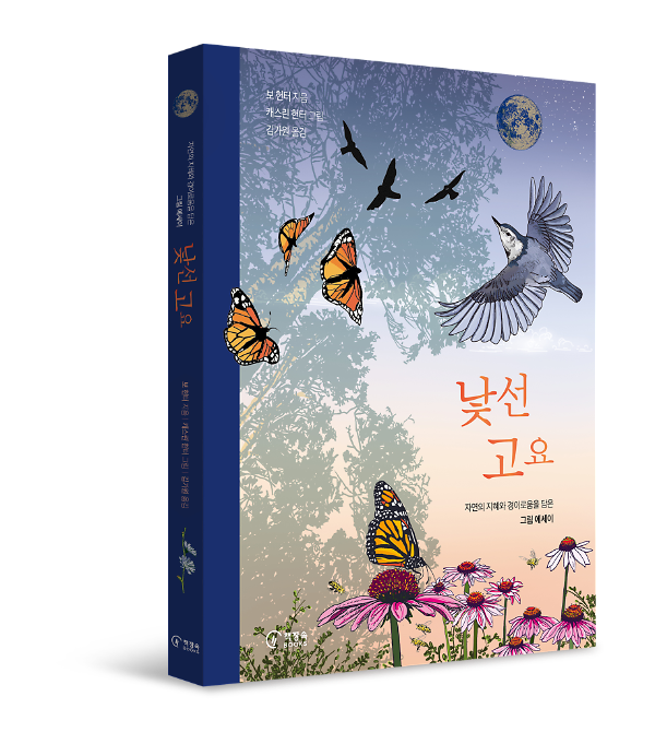 입체표지(3D 표지)