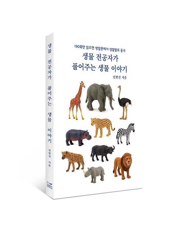입체표지(3D 표지)