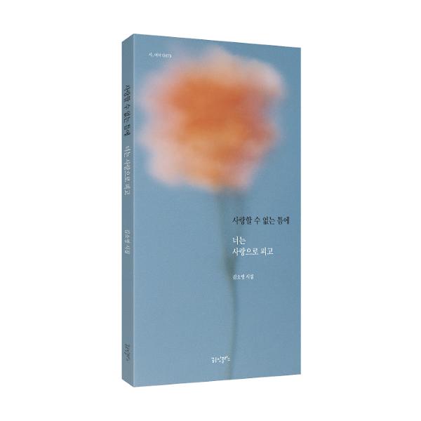 입체표지(3D 표지)