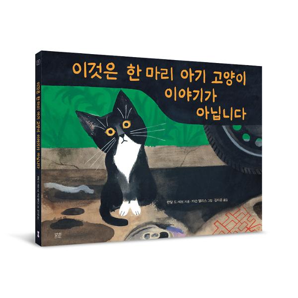 입체표지(3D 표지)