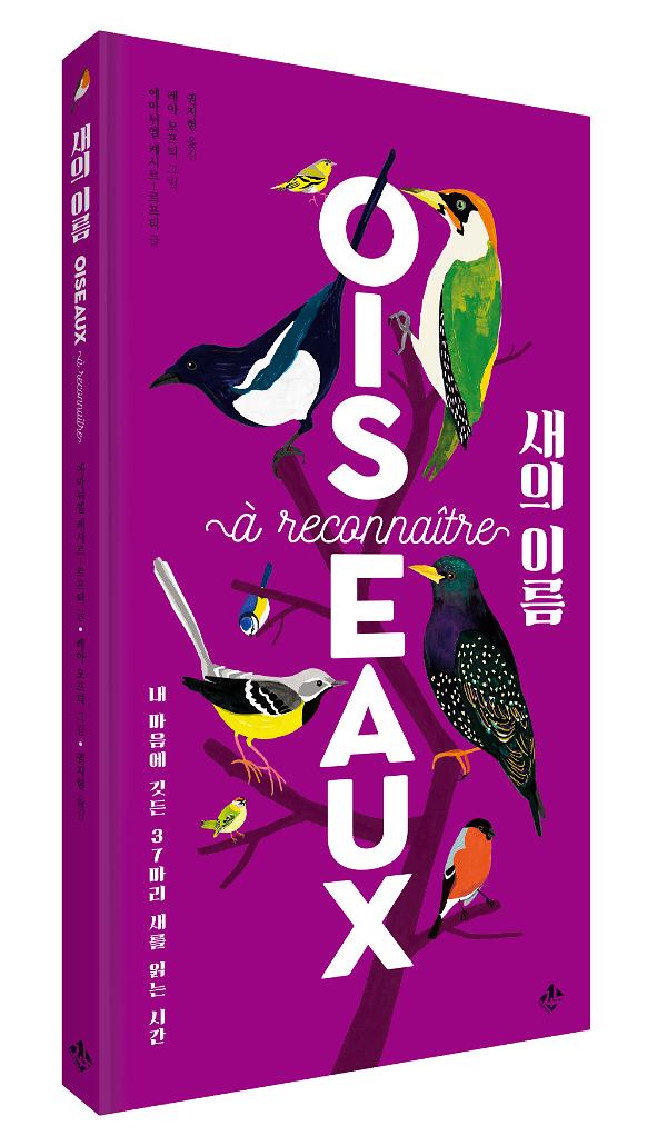 입체표지(3D 표지)