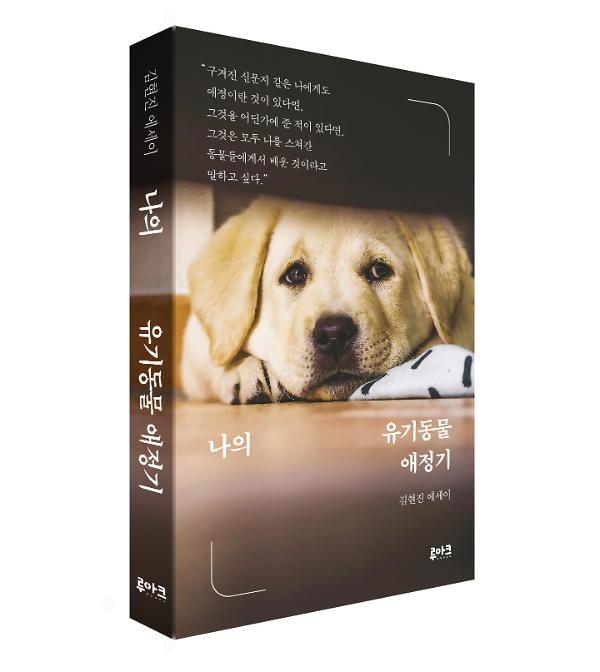 입체표지(3D 표지)