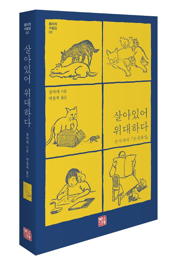 입체표지(3D 표지)