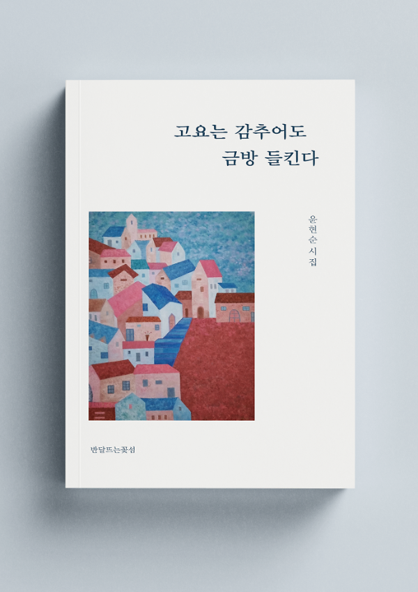 입체표지(3D 표지)