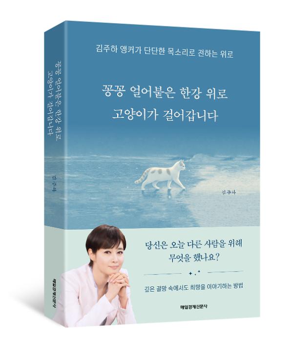 입체표지(3D 표지)