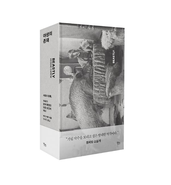 입체표지(3D 표지)