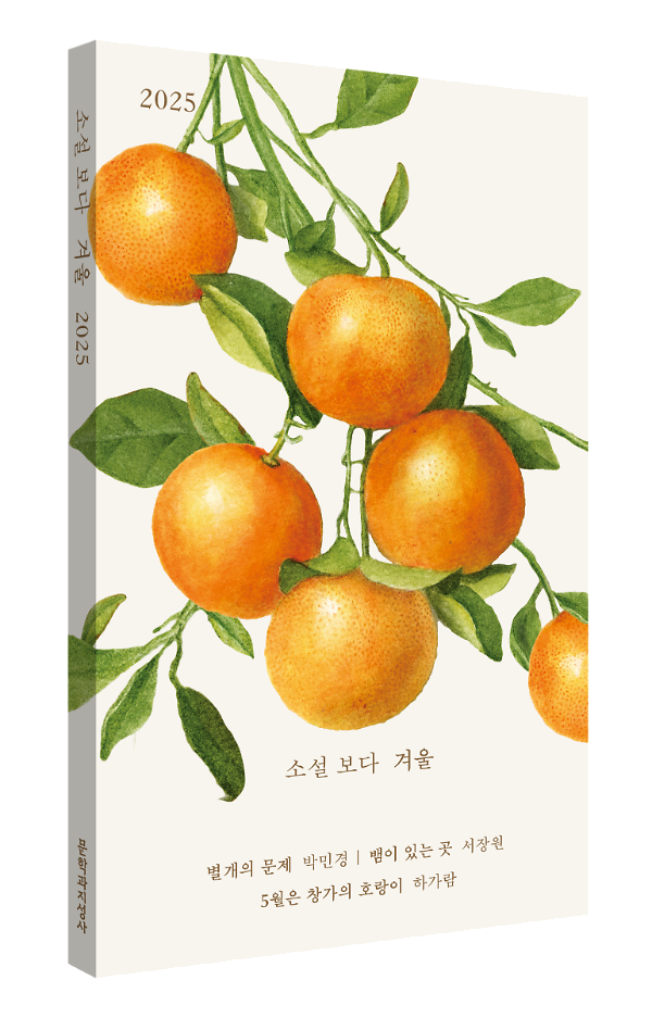 입체표지(3D 표지)