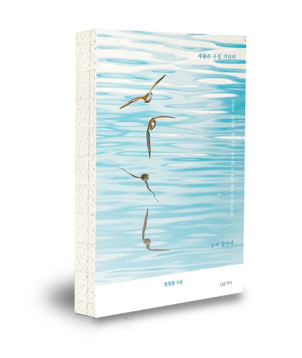 입체표지(3D 표지)