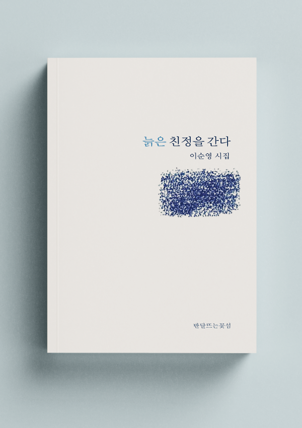 입체표지(3D 표지)