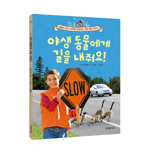 입체표지(3D 표지)