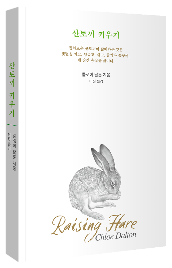 입체표지(3D 표지)