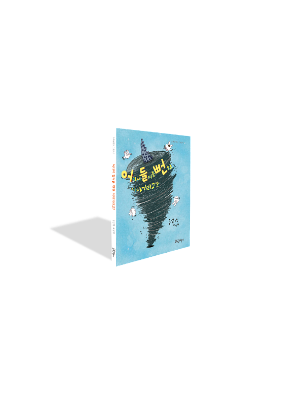 입체표지(3D 표지)