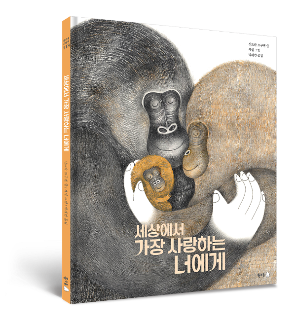 입체표지(3D 표지)