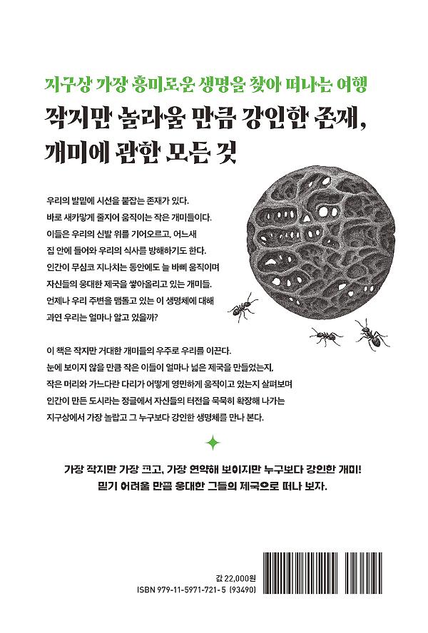 2D 뒤표지