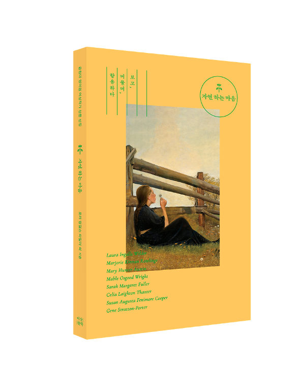 입체표지(3D 표지)