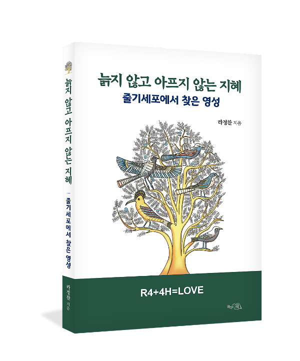 입체표지(3D 표지)