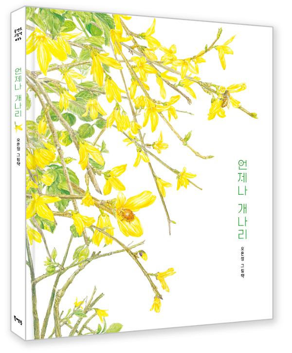 입체표지(3D 표지)