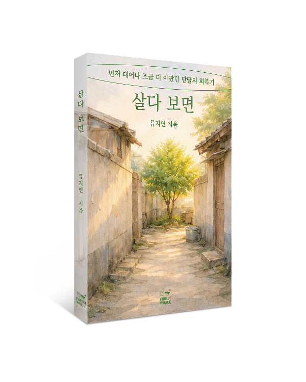 입체표지(3D 표지)