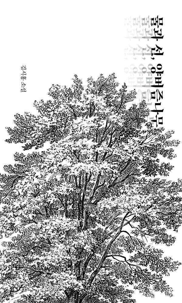 물과 선, 양버즘나무_책표지