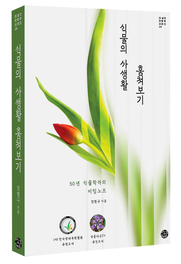 입체표지(3D 표지)