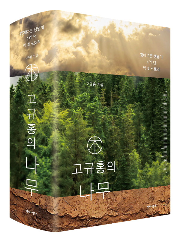 입체표지(3D 표지)