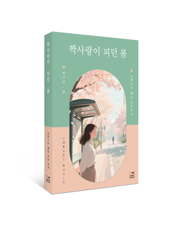 입체표지(3D 표지)