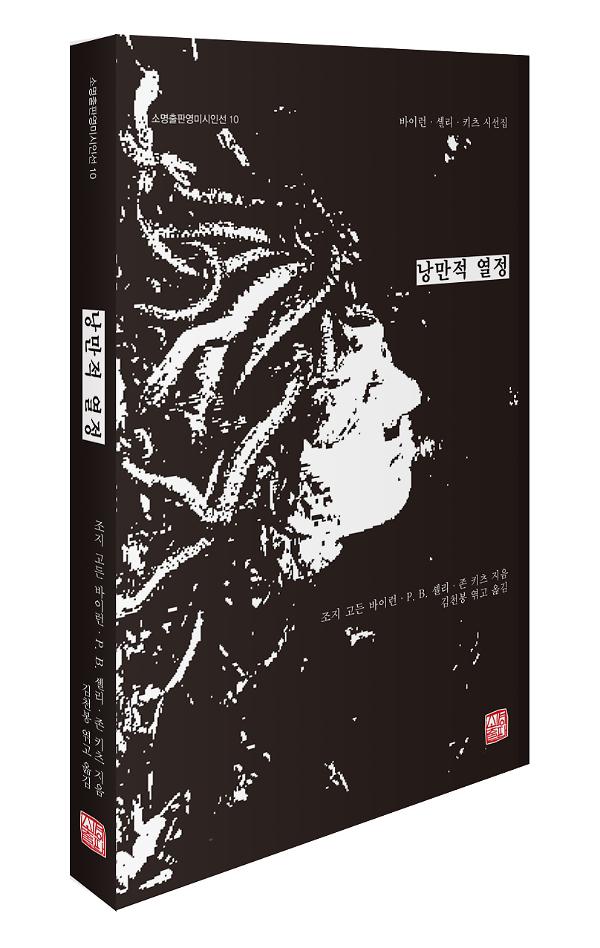 입체표지(3D 표지)