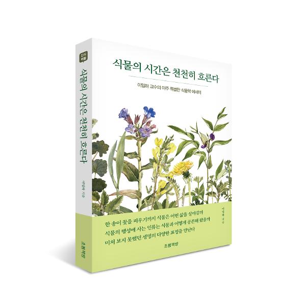 입체표지(3D 표지)