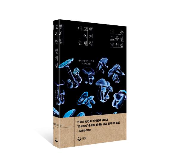 입체표지(3D 표지)