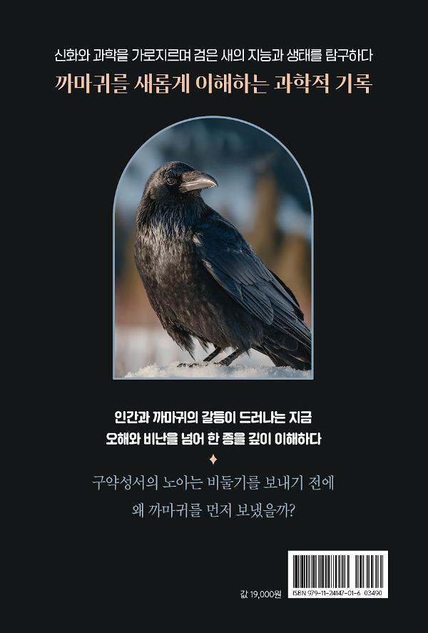 2D 뒤표지