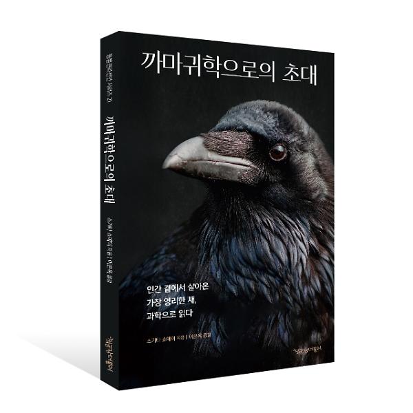 입체표지(3D 표지)