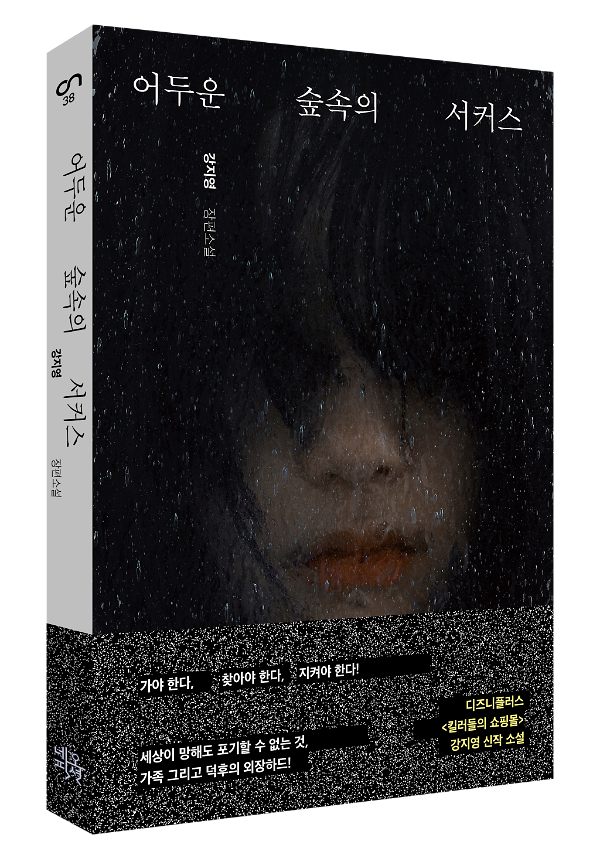 입체표지(3D 표지)