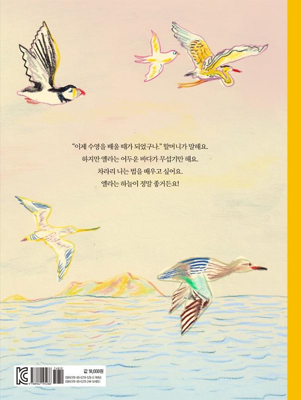 2D 뒤표지