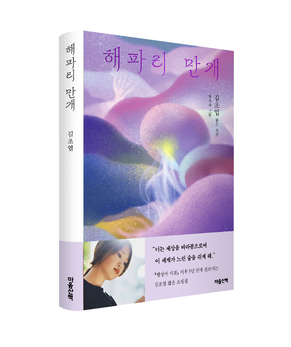 입체표지(3D 표지)