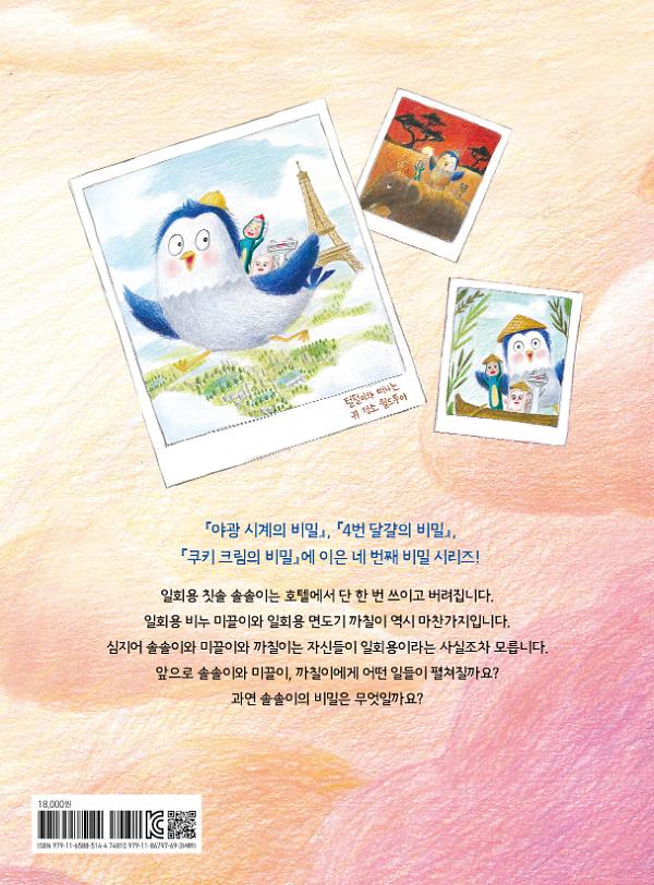 솔솔이의 비밀 - 2D 뒤표지